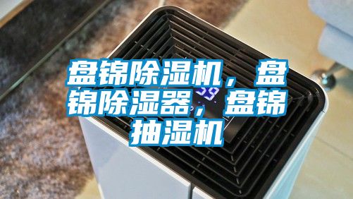 盤錦除濕機(jī)，盤錦除濕器，盤錦抽濕機(jī)