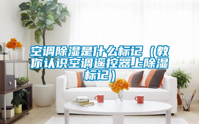空調除濕是什么標記（教你認識空調遙控器上除濕標記）