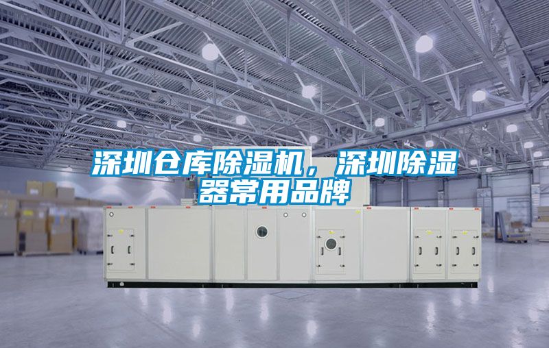 深圳倉(cāng)庫(kù)除濕機(jī)，深圳除濕器常用品牌