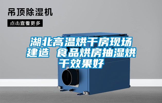 湖北高溫烘干房現場建造 食品烘房抽濕烘干效果好