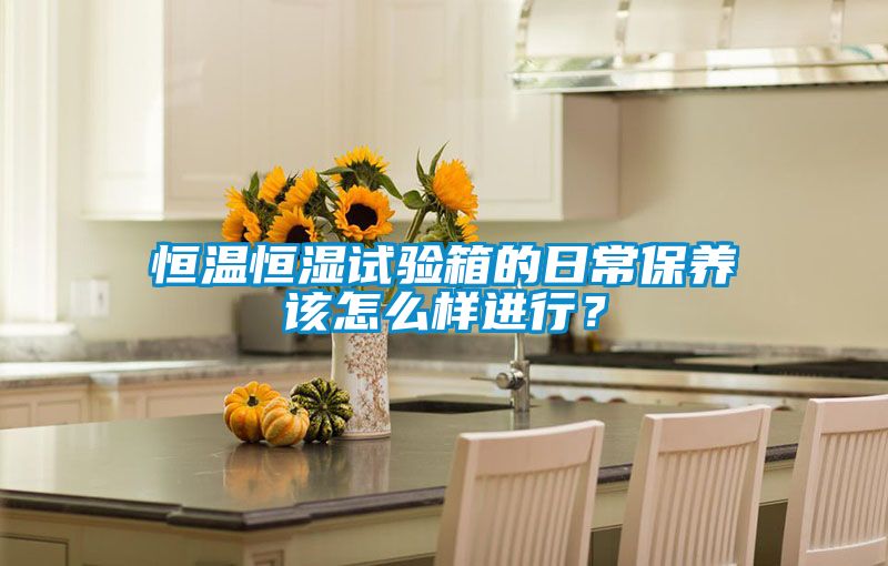 恒溫恒濕試驗箱的日常保養該怎么樣進行?