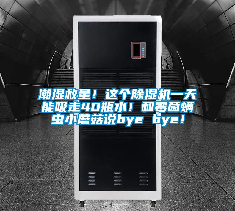 潮濕救星！這個(gè)除濕機(jī)一天能吸走40瓶水！和霉菌螨蟲小蘑菇說bye bye！