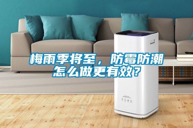 梅雨季將至,防霉防潮怎么做更有效?