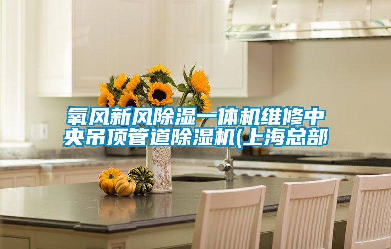 氧風新風除濕一體機維修中央吊頂管道除濕機(上?？偛?/></p>
<p style=