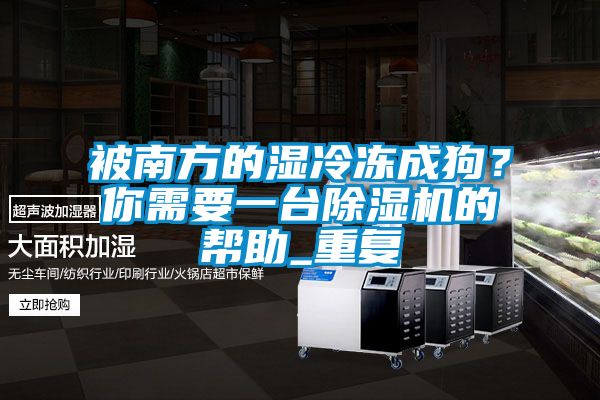 被南方的濕冷凍成狗？你需要一臺除濕機的幫助_重復