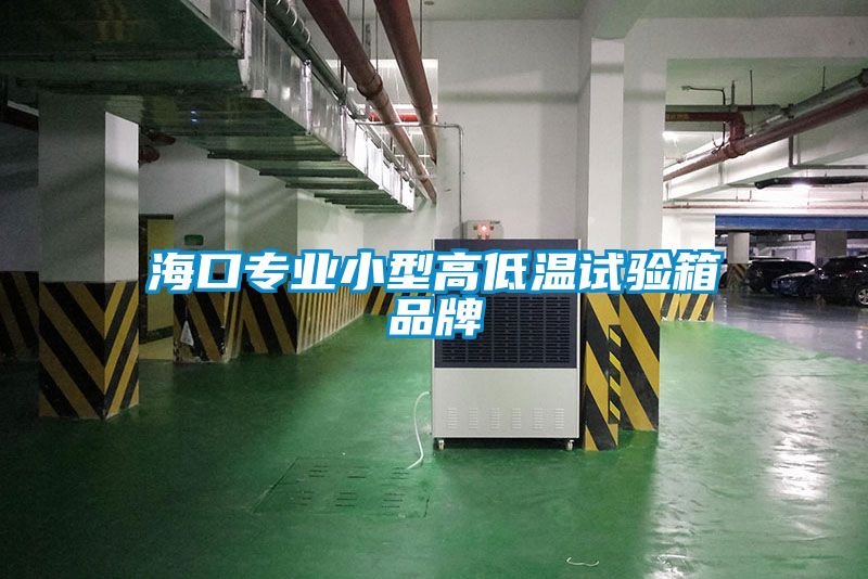 海口專(zhuān)業(yè)小型高低溫試驗(yàn)箱品牌