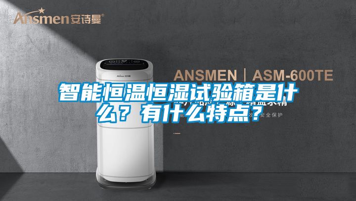 智能恒溫恒濕試驗箱是什么？有什么特點？