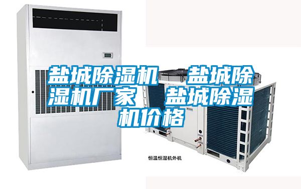 鹽城除濕機(jī) 鹽城除濕機(jī)廠家 鹽城除濕機(jī)價(jià)格