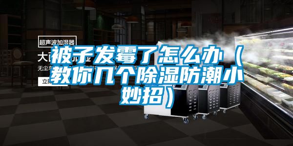 被子發霉了怎么辦(教你幾個除濕防潮小妙招)