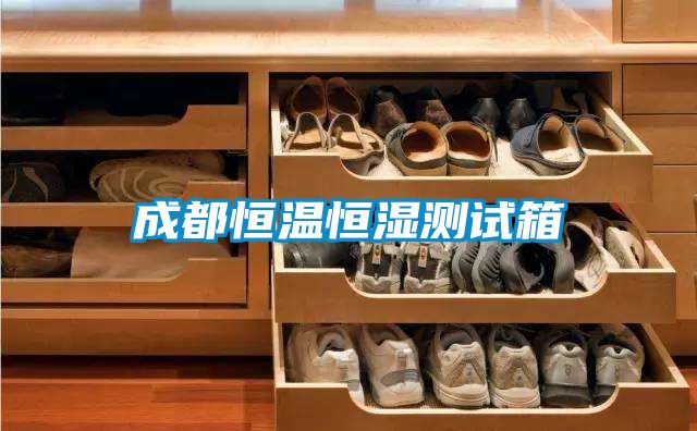 成都恒溫恒濕測(cè)試箱