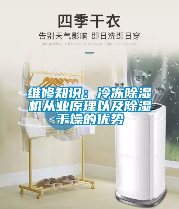 維修知識:冷凍除濕機從業(yè)原理以及除濕干燥的優(yōu)勢