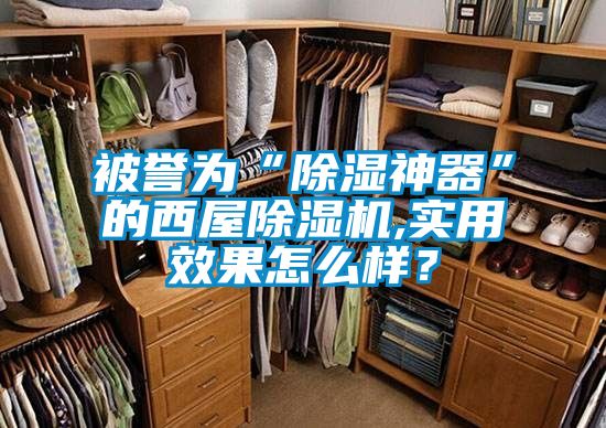 被譽(yù)為“除濕神器”的西屋除濕機(jī),實(shí)用效果怎么樣?