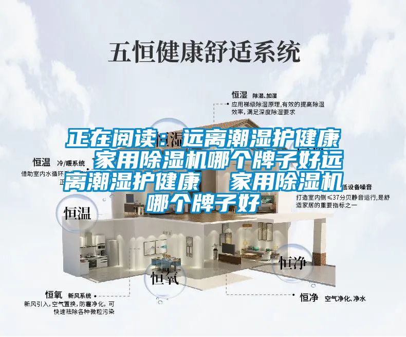 正在閱讀：遠離潮濕護健康  家用除濕機哪個牌子好遠離潮濕護健康  家用除濕機哪個牌子好