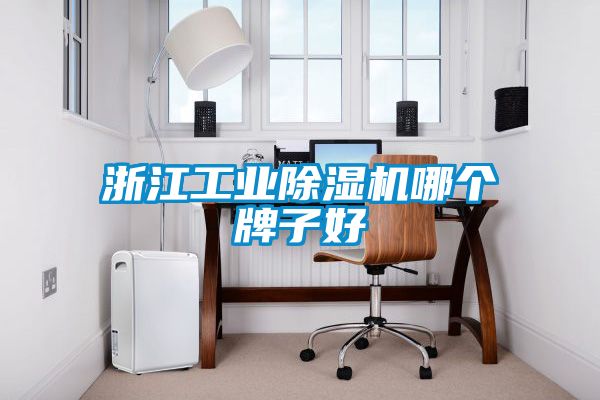 浙江工業(yè)除濕機(jī)哪個牌子好