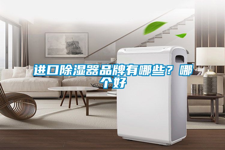 進口除濕器品牌有哪些?哪個好