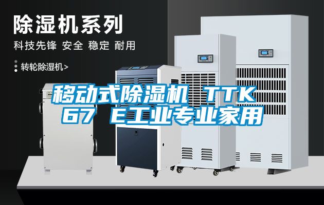 移動式除濕機 TTK 67 E工業專業家用