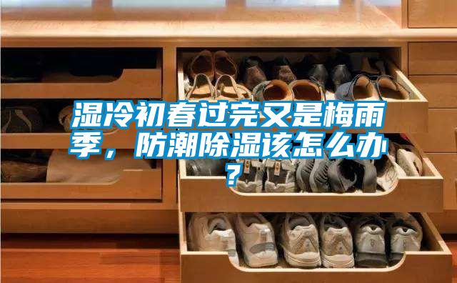 濕冷初春過完又是梅雨季，防潮除濕該怎么辦？