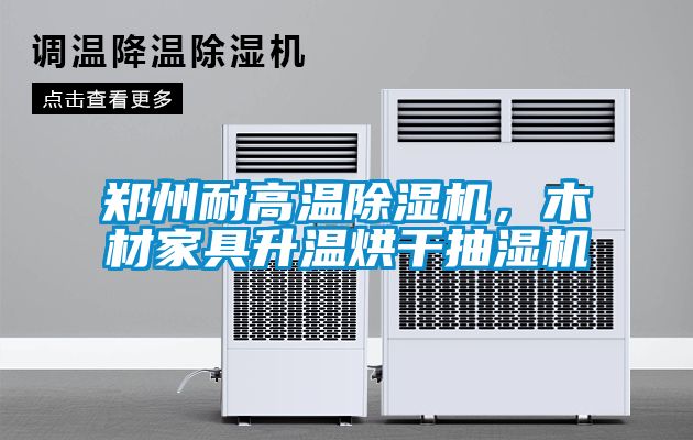 鄭州耐高溫除濕機，木材家具升溫烘干抽濕機