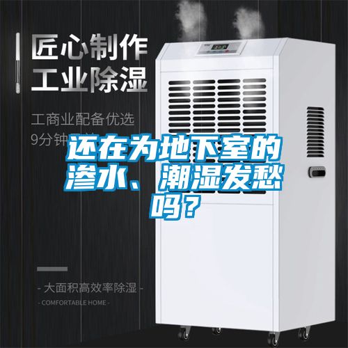 還在為地下室的滲水、潮濕發愁嗎?