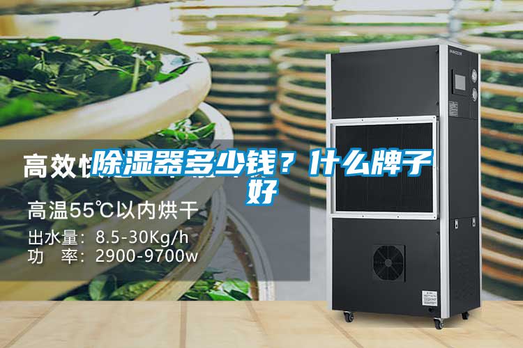 除濕器多少錢？什么牌子好