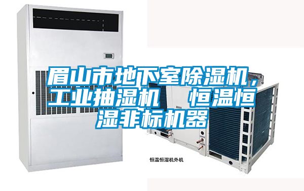 眉山市地下室除濕機，工業抽濕機  恒溫恒濕非標機器