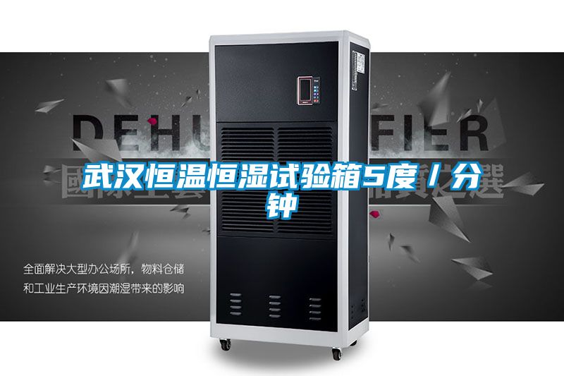 武漢恒溫恒濕試驗箱5度/分鐘