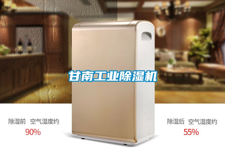 甘南工業除濕機