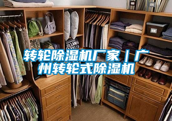 轉輪除濕機廠家｜廣州轉輪式除濕機