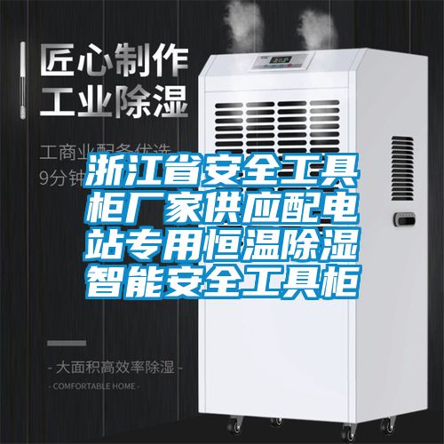 浙江省安全工具柜廠家供應配電站專用恒溫除濕智能安全工具柜