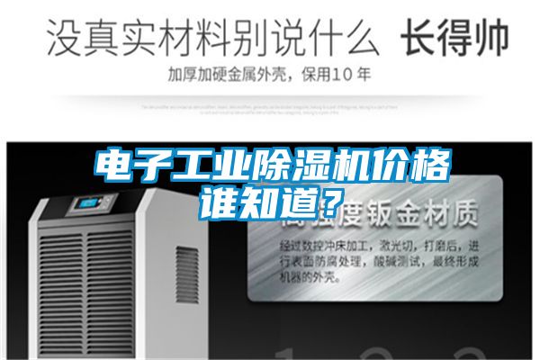電子工業(yè)除濕機(jī)價格誰知道?