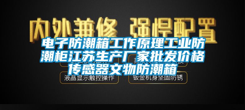 電子防潮箱工作原理工業防潮柜江蘇生產廠家批發價格傳感器文物防潮箱