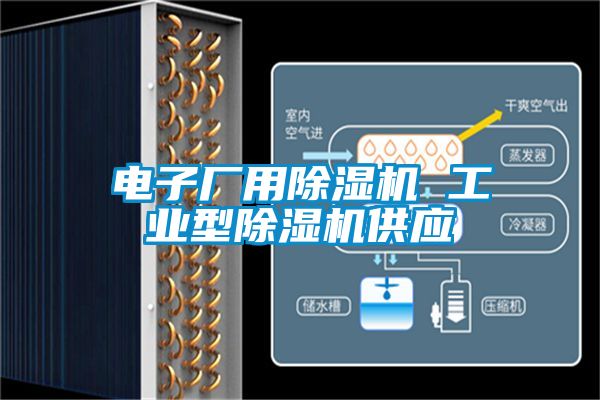電子廠用除濕機 工業型除濕機供應