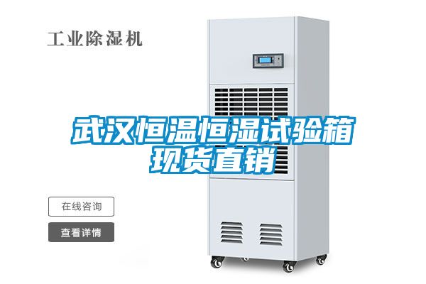 武漢恒溫恒濕試驗箱現貨直銷