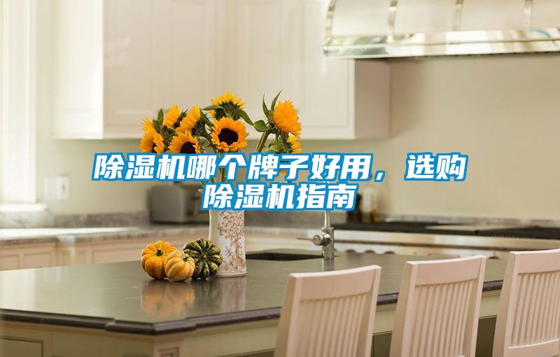 除濕機哪個牌子好用,選購除濕機指南