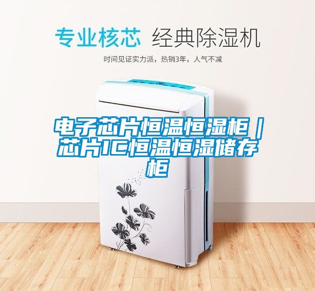 電子芯片恒溫恒濕柜|芯片IC恒溫恒濕儲存柜