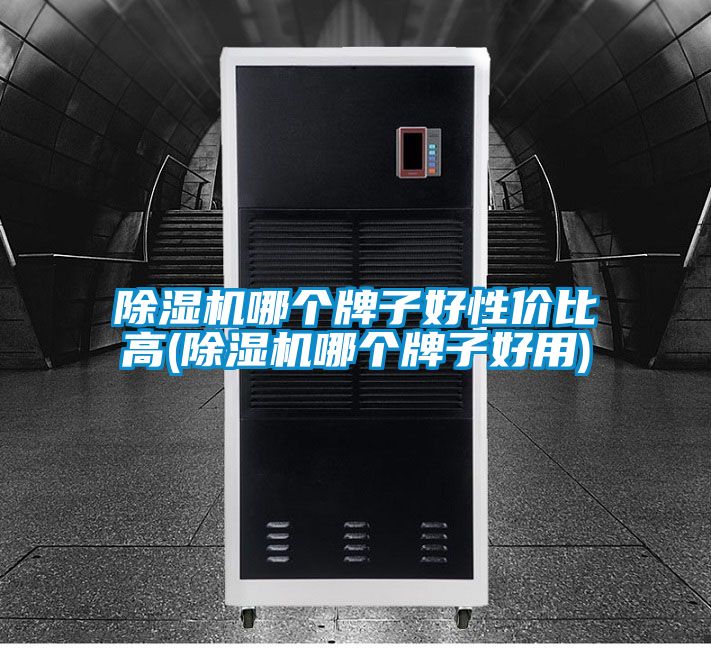除濕機(jī)哪個(gè)牌子好性?xún)r(jià)比高(除濕機(jī)哪個(gè)牌子好用)