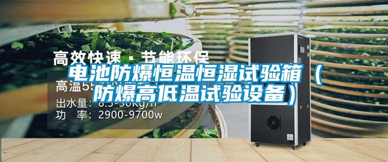 電池防爆恒溫恒濕試驗箱（防爆高低溫試驗設(shè)備）