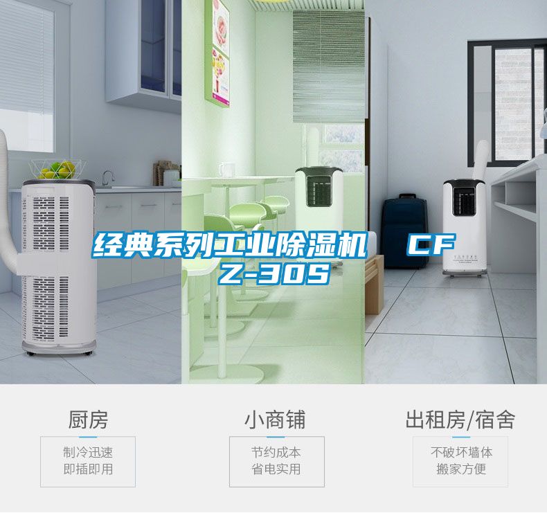 經(jīng)典系列工業(yè)除濕機 CFZ-30S