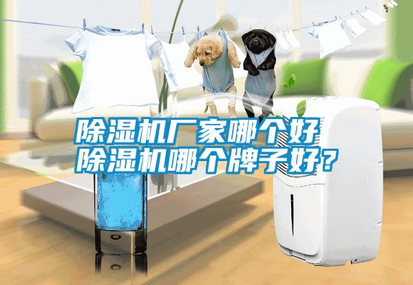 除濕機廠家哪個好 除濕機哪個牌子好?