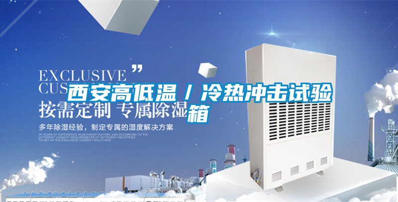 西安高低溫/冷熱沖擊試驗(yàn)箱