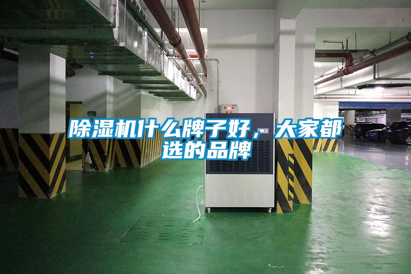 除濕機(jī)什么牌子好，大家都選的品牌