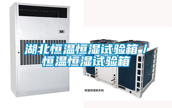 湖北恒溫恒濕試驗箱/恒溫恒濕試驗箱