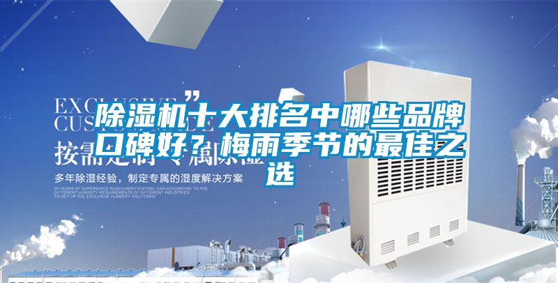 除濕機十大排名中哪些品牌口碑好?梅雨季節的最佳之選