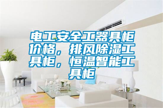 電工安全工器具柜價格，排風除濕工具柜，恒溫智能工具柜