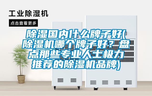 除濕國內什么牌子好(除濕機哪個牌子好？盤點那些專業人士極力推薦的除濕機品牌)