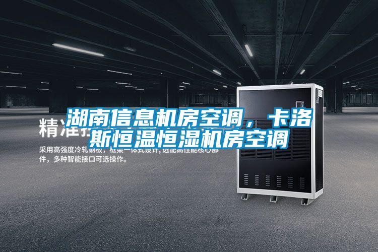 湖南信息機房空調(diào),卡洛斯恒溫恒濕機房空調(diào)