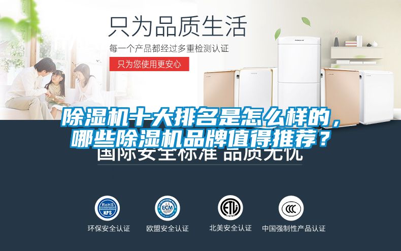 除濕機十大排名是怎么樣的，哪些除濕機品牌值得推薦？