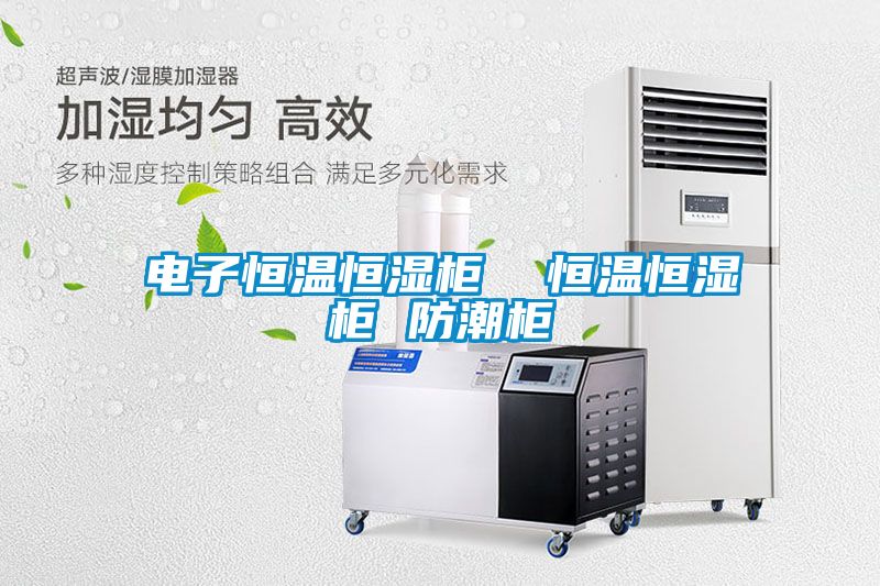 電子恒溫恒濕柜 恒溫恒濕柜 防潮柜