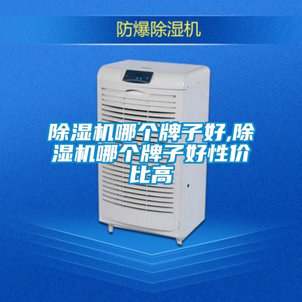 除濕機哪個牌子好,除濕機哪個牌子好性價比高