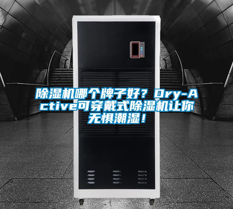 除濕機哪個牌子好?Dry-Active可穿戴式除濕機讓你無懼潮濕!